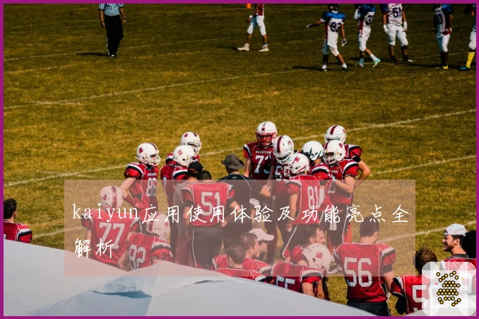 kaiyun应用使用体验及功能亮点全解析
