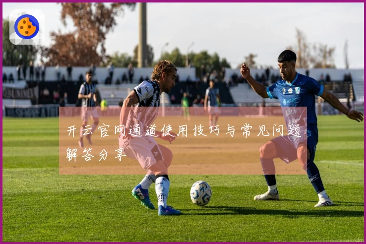 开云官网通道使用技巧与常见问题解答分享