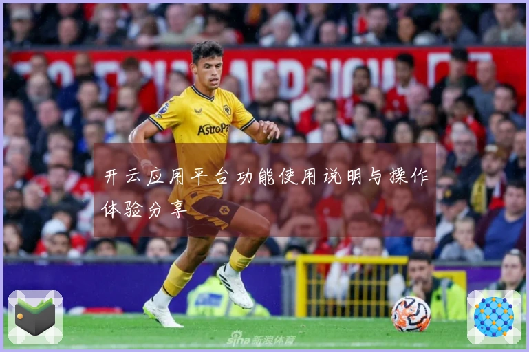 开云应用平台功能使用说明与操作体验分享