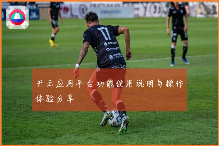 开云应用平台功能使用说明与操作体验分享